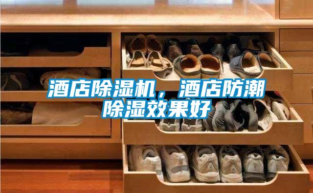 酒店除湿机，酒店防潮除湿效果好