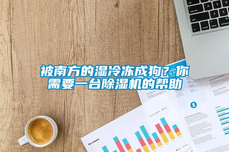 被南方的湿冷冻成狗？你需要一台除湿机的帮助