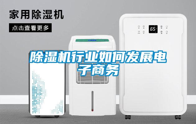 除湿机行业如何发展电子商务