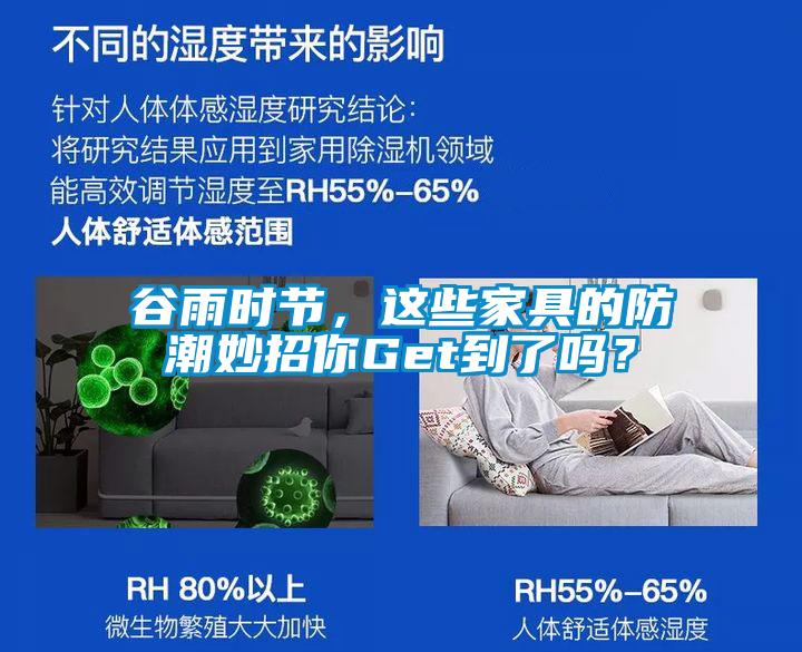 谷雨时节，这些家具的防潮妙招你Get到了吗？
