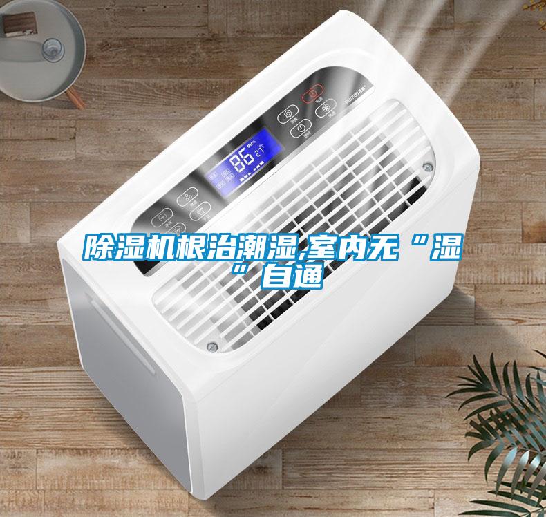 除湿机根治潮湿,室内无“湿”自通