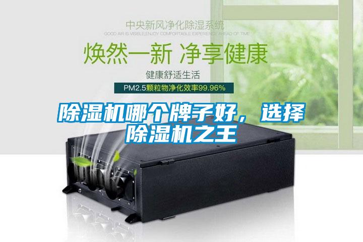 除湿机哪个牌子好，选择除湿机之王