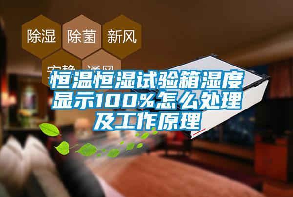 恒温恒湿试验箱湿度显示100%怎么处理及工作原理