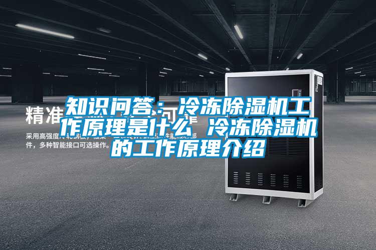 知识问答：冷冻除湿机工作原理是什么 冷冻除湿机的工作原理介绍