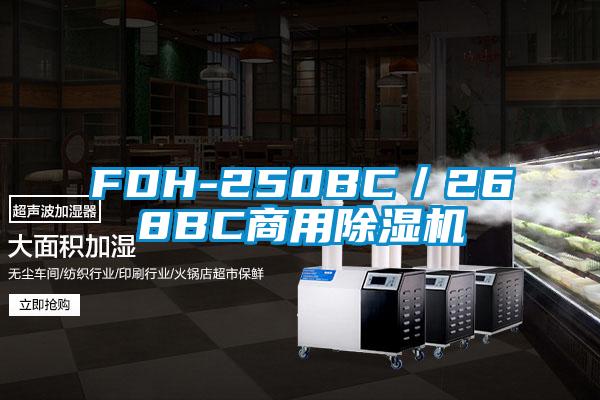 FDH-250BC／268BC商用除湿机