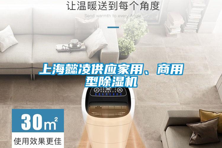 上海懿凌供应家用、商用型除湿机