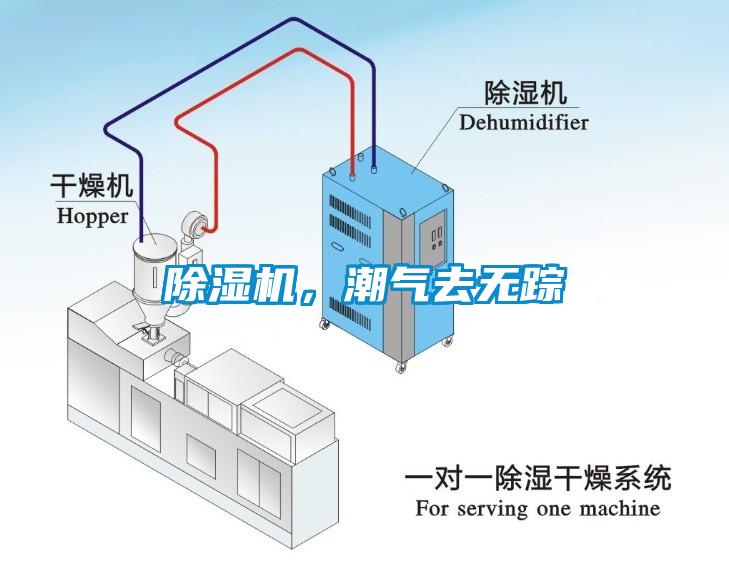 除湿机，潮气去无踪