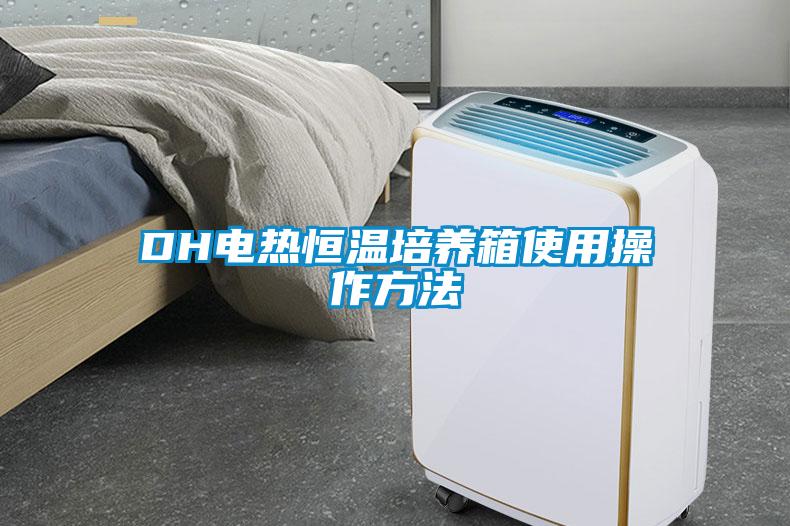 DH电热恒温培养箱使用操作方法