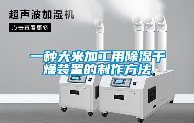 一种大米加工用除湿干燥装置的制作方法