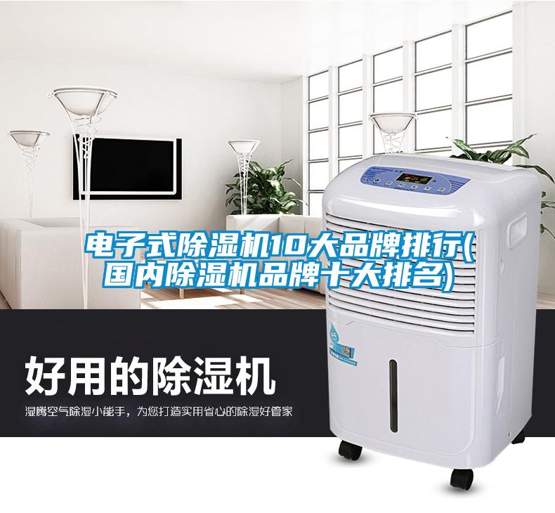 电子式除湿机10大品牌排行(国内除湿机品牌十大排名)