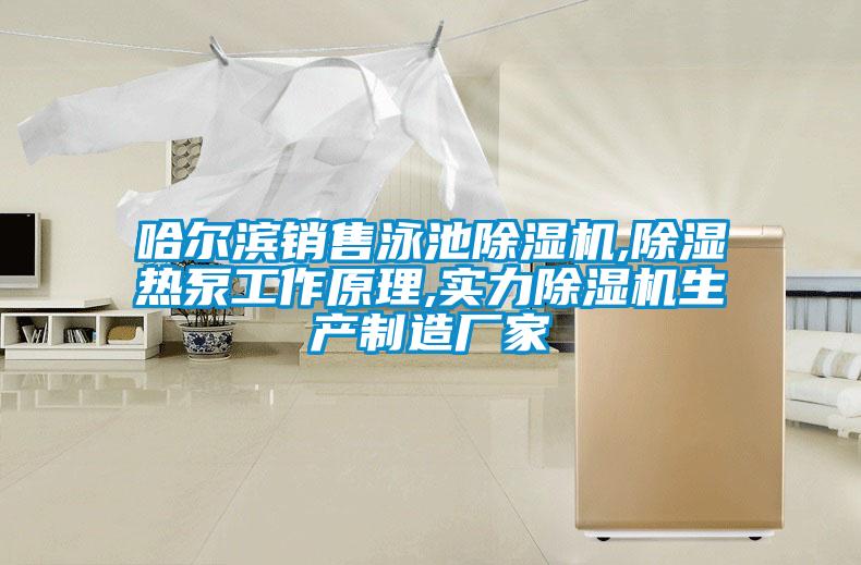 哈尔滨销售泳池除湿机,除湿热泵工作原理,实力除湿机生产制造厂家