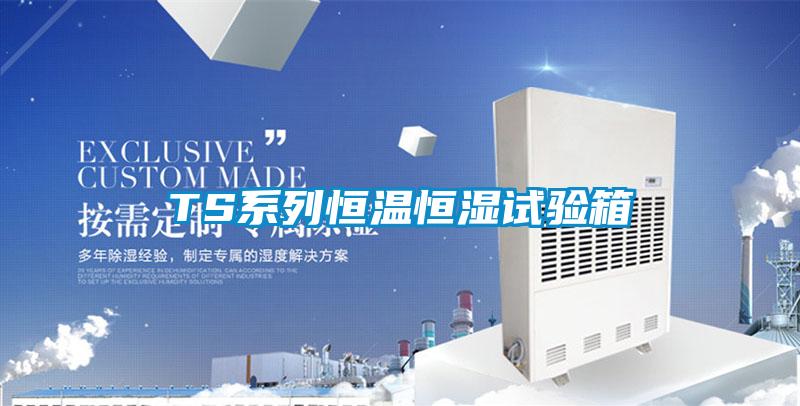 TS系列恒温恒湿试验箱