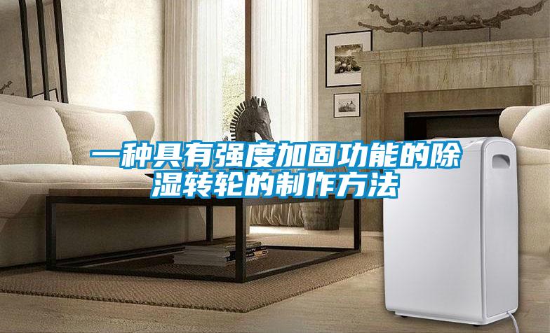 一种具有强度加固功能的除湿转轮的制作方法