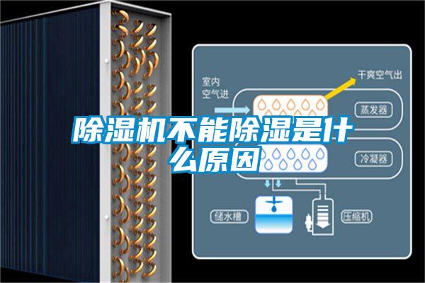 除湿机不能除湿是什么原因