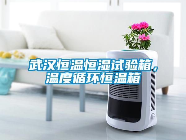 武汉恒温恒湿试验箱，温度循环恒温箱