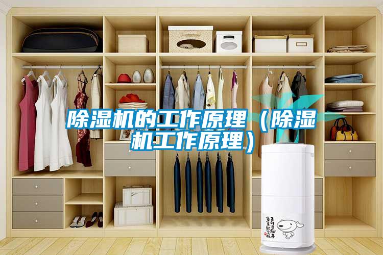 除湿机的工作原理（除湿机工作原理）