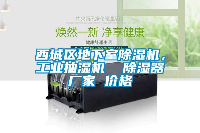 西城区地下室除湿机，工业抽湿机  除湿器厂家 价格