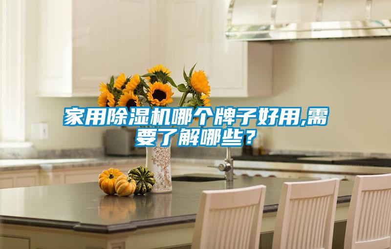 家用除湿机哪个牌子好用,需要了解哪些？