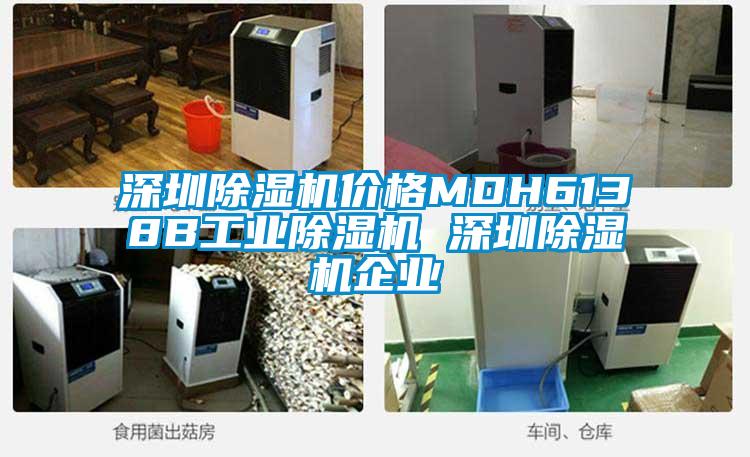 深圳除湿机价格MDH6138B工业除湿机 深圳除湿机企业