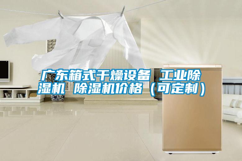 广东箱式干燥设备 工业除湿机 除湿机价格（可定制）