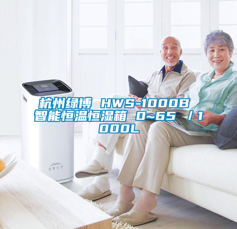 杭州绿博 HWS-1000B 智能恒温恒湿箱 0~65℃／1000L
