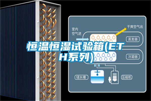 恒温恒湿试验箱(ETH系列)