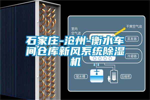 石家庄-沧州-衡水车间仓库新风系统除湿机