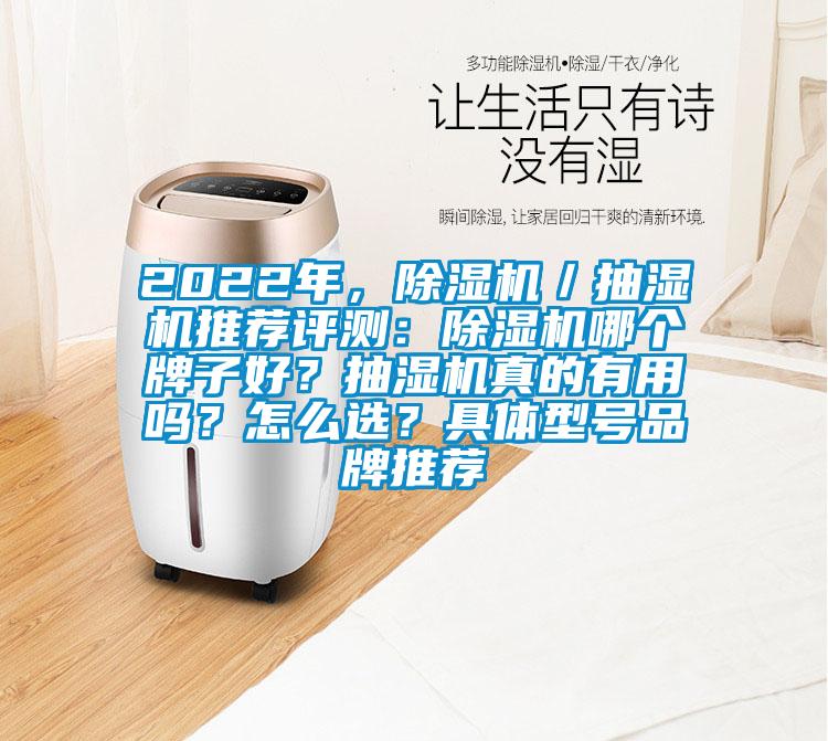 2022年，除湿机／抽湿机推荐评测：除湿机哪个牌子好？抽湿机真的有用吗？怎么选？具体型号品牌推荐