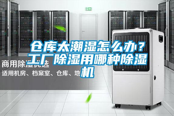 仓库太潮湿怎么办?工厂除湿用哪种除湿机