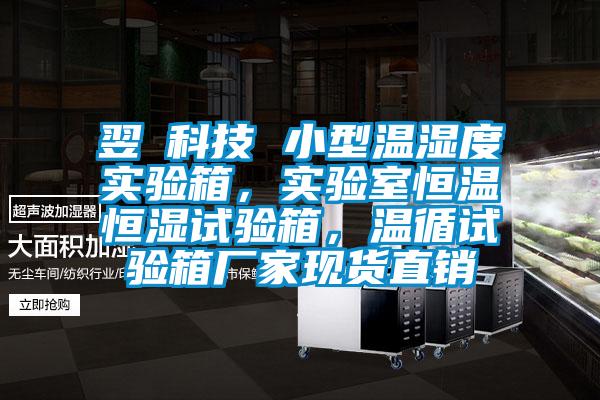 翌昇科技 小型温湿度实验箱，实验室恒温恒湿试验箱，温循试验箱厂家现货直销