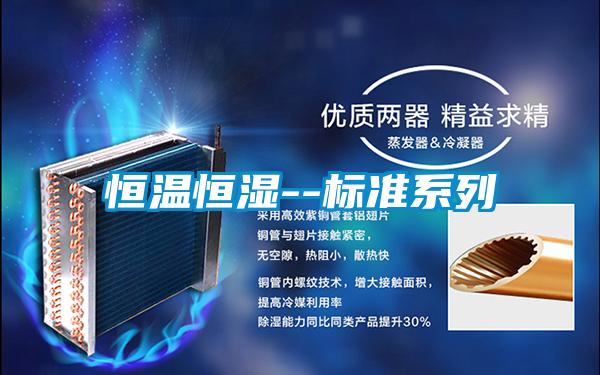 恒温恒湿--标准系列