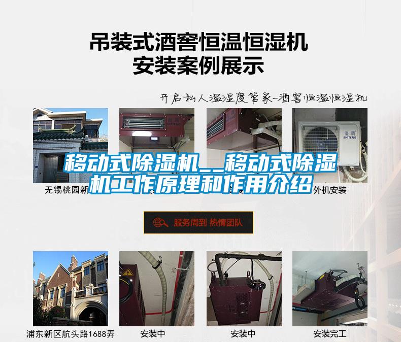 移动式除湿机__移动式除湿机工作原理和作用介绍