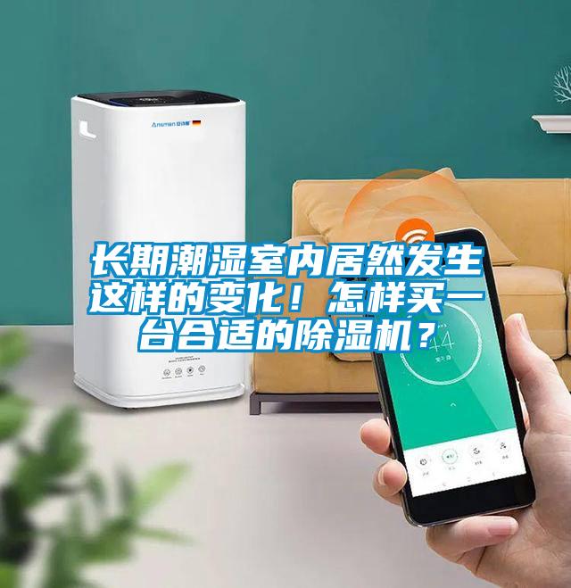 长期潮湿室内居然发生这样的变化!怎样买一台合适的除湿机?