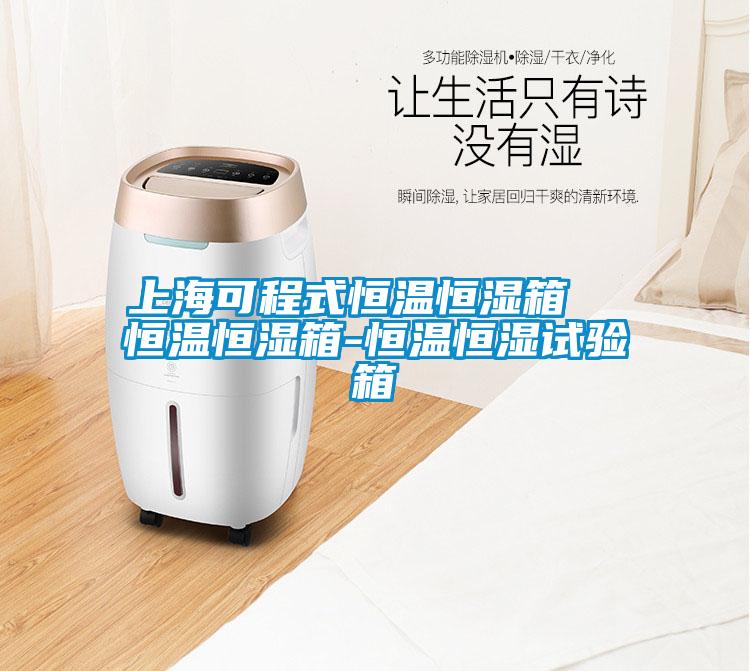 上海可程式恒温恒湿箱  恒温恒湿箱-恒温恒湿试验箱