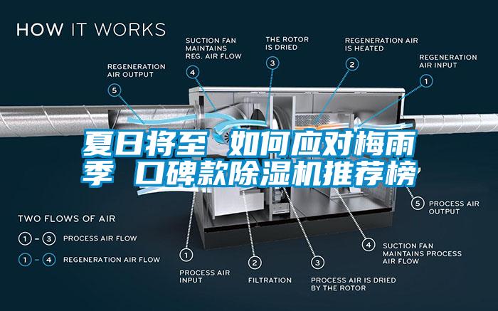 夏日将至 如何应对梅雨季 口碑款除湿机推荐榜