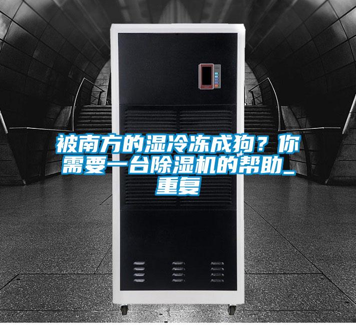被南方的湿冷冻成狗?你需要一台除湿机的帮助_重复