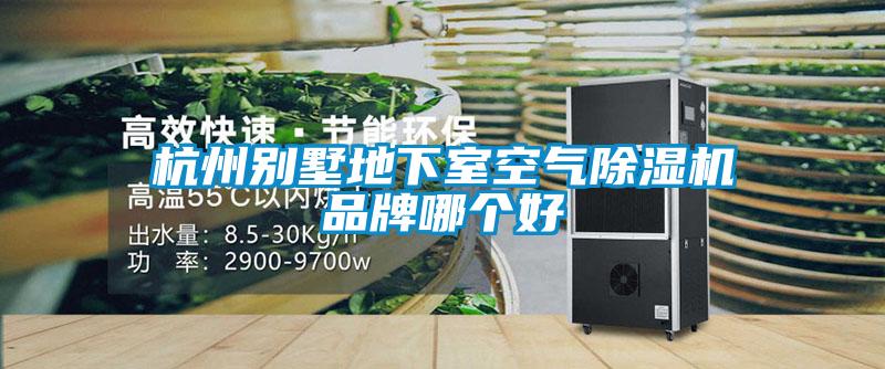 杭州别墅地下室空气除湿机品牌哪个好