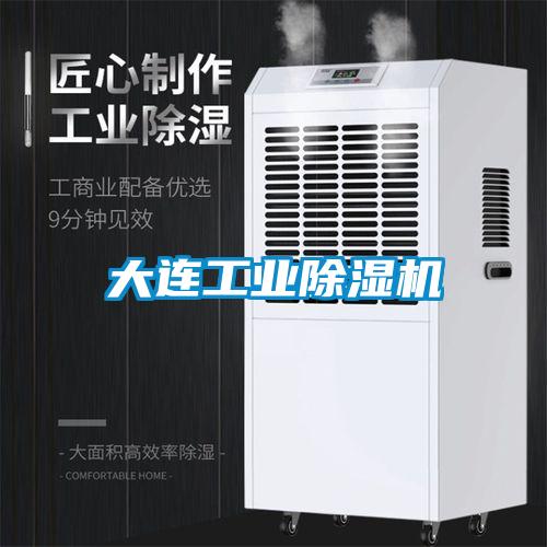 大连工业除湿机
