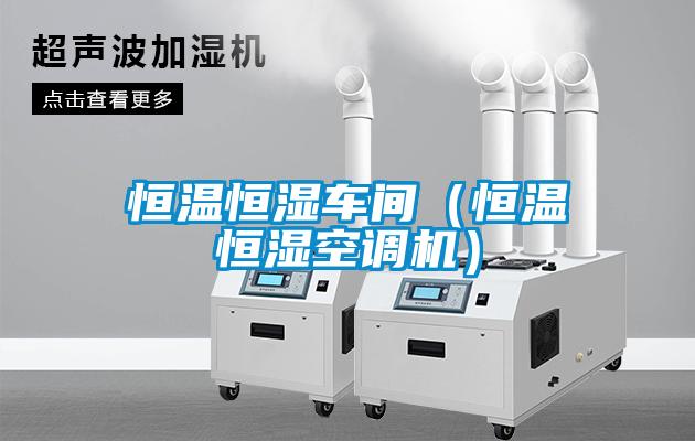 恒温恒湿车间（恒温恒湿空调机）