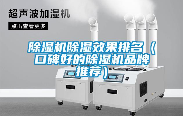除湿机除湿效果排名（口碑好的除湿机品牌推荐）