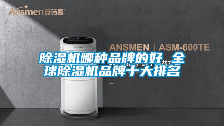 除湿机哪种品牌的好 全球除湿机品牌十大排名