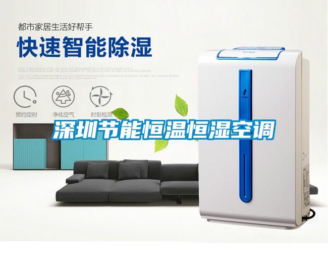 深圳节能恒温恒湿空调