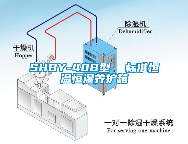SHBY-40B型  标准恒温恒湿养护箱