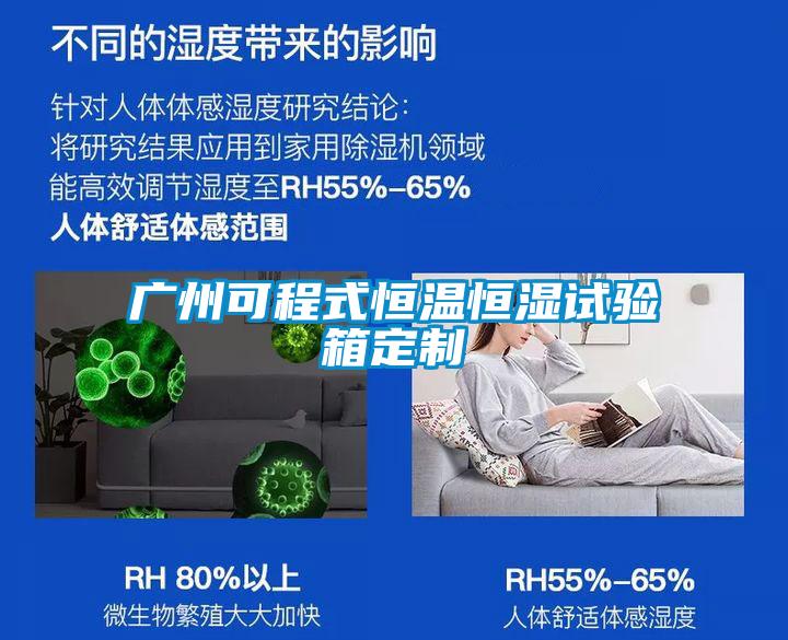 广州可程式恒温恒湿试验箱定制