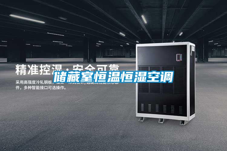储藏室恒温恒湿空调
