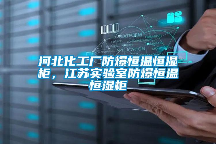 河北化工厂防爆恒温恒湿柜,江苏实验室防爆恒温恒湿柜