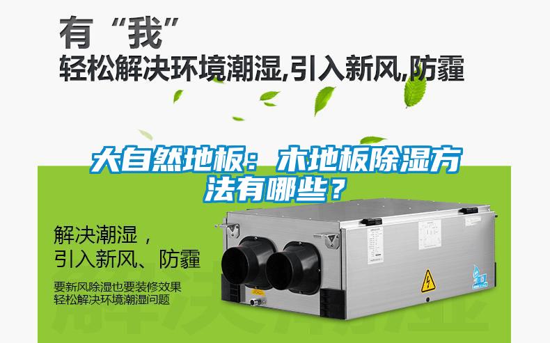 大自然地板：木地板除湿方法有哪些？