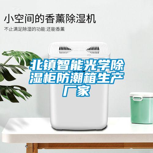 北镇智能光学除湿柜防潮箱生产厂家
