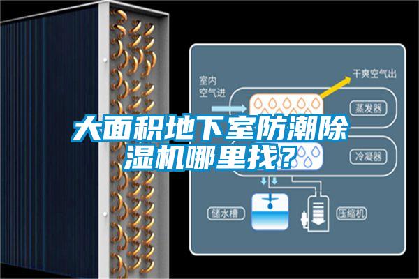 大面积地下室防潮除湿机哪里找？