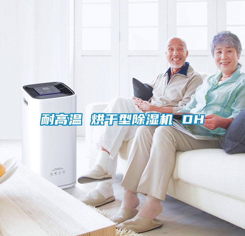 耐高温 烘干型除湿机 DH